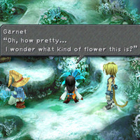 ff9shot150.jpg